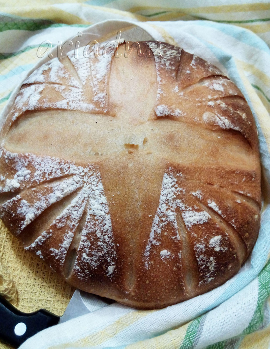 Закваска 61 Закваска 96